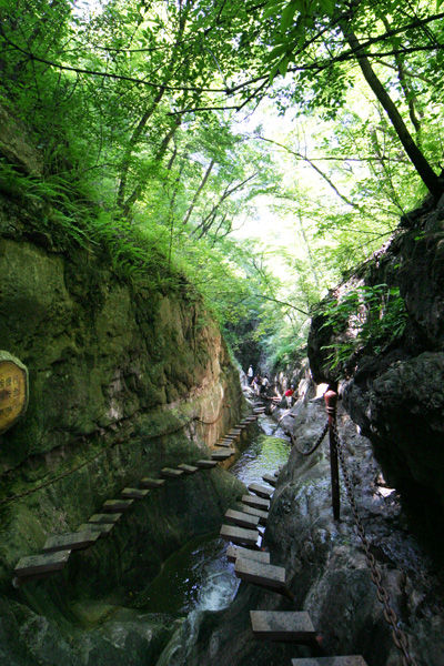 第1607页