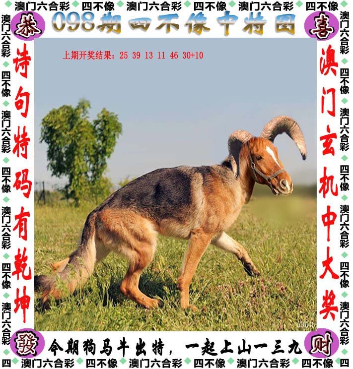 自行车配件 第244页