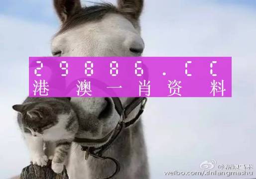 自行车配件 第160页