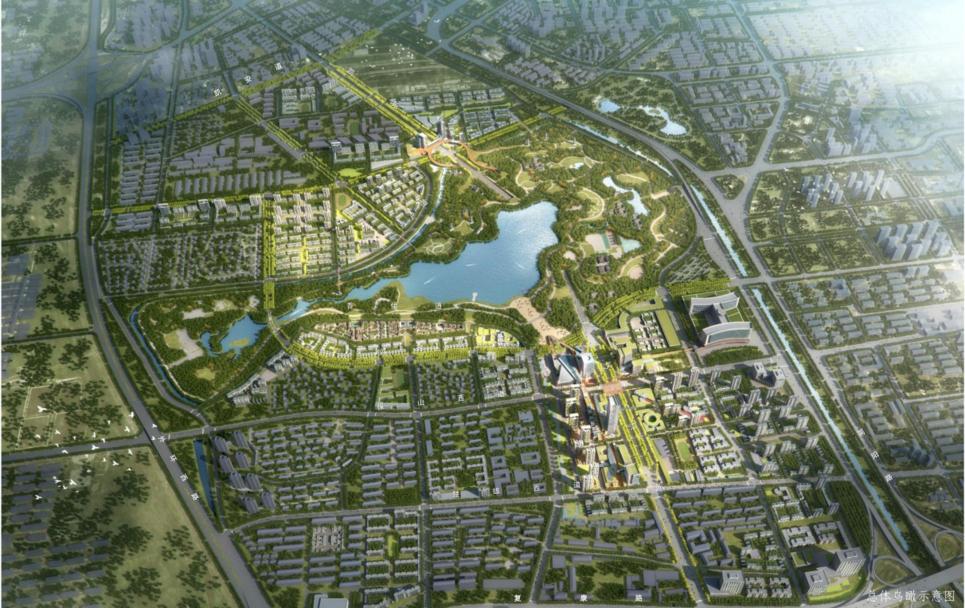 候台湿地公园新动态，美景变化与成长的力量