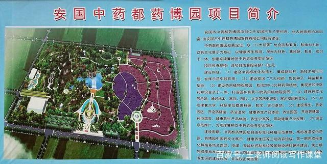 安国药都新城最新动态深度解析，最新进展与观点论述