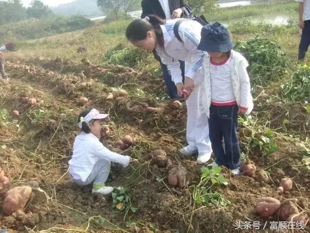 技术进出口 第5页
